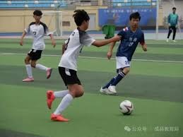 探讨中国足球低迷原因的国际视角